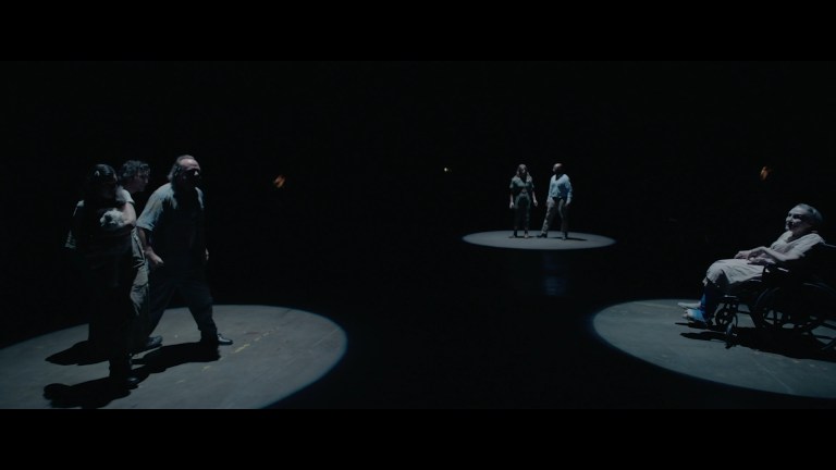 The Protos Experiment