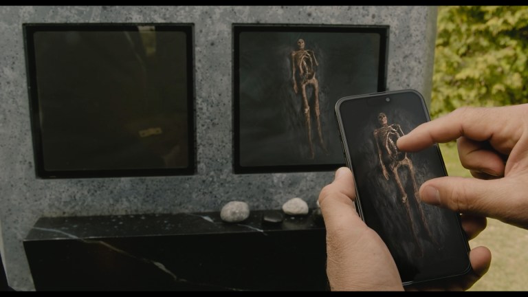 The Shrouds (2024)
