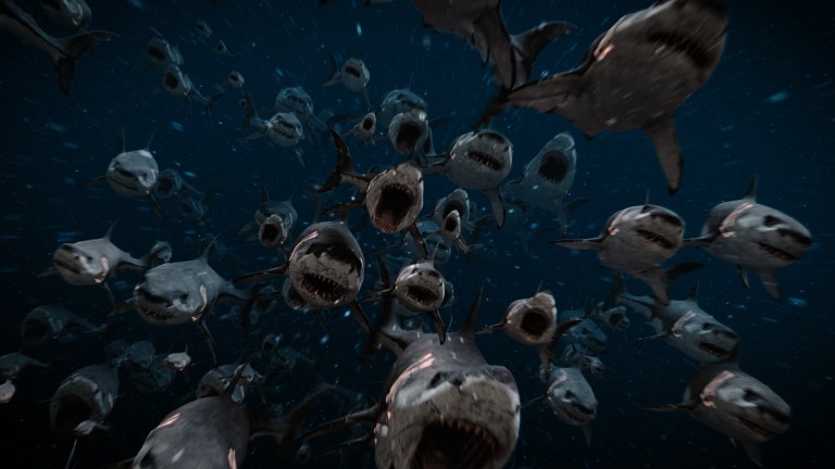 Hot Spring Shark Attack