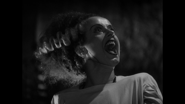 Elsa Lanchester in Bride of Frankenstein.