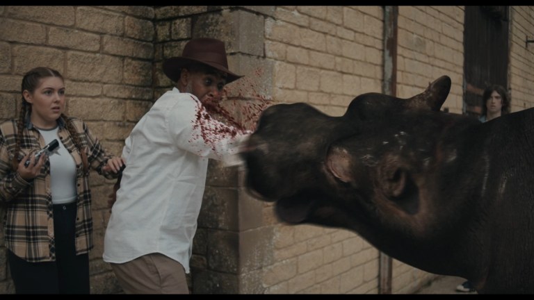 Hippo's Revenge (2025)