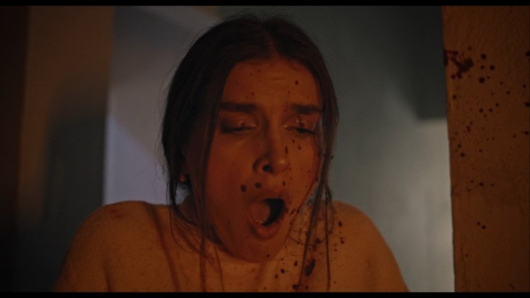 I Heart Willie (2024)