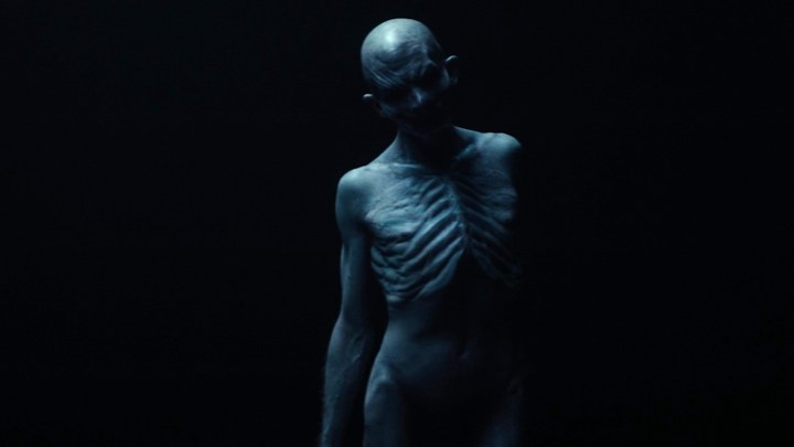 Your Daily Horror Digest for September 11th, 2025