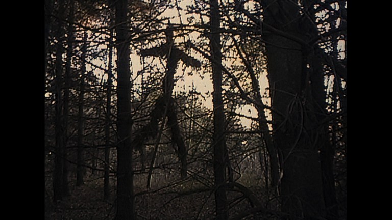 The Blair Witch Project (1999)
