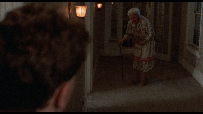 Dead Dudes in the House (1989)