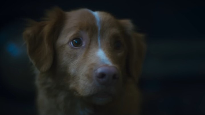 October 3, 2025 – 15 New Horror Movies Released Today (making 22 for the week!)