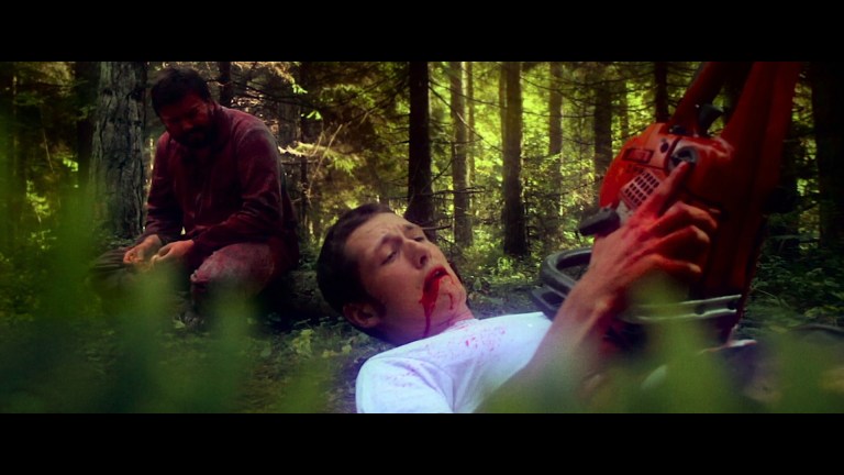 Chainsaws Were Singing