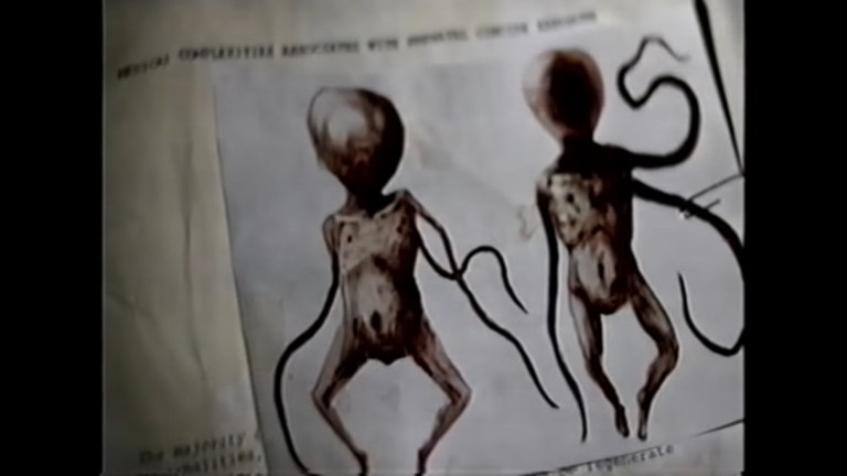 Harvest Brood (2025)