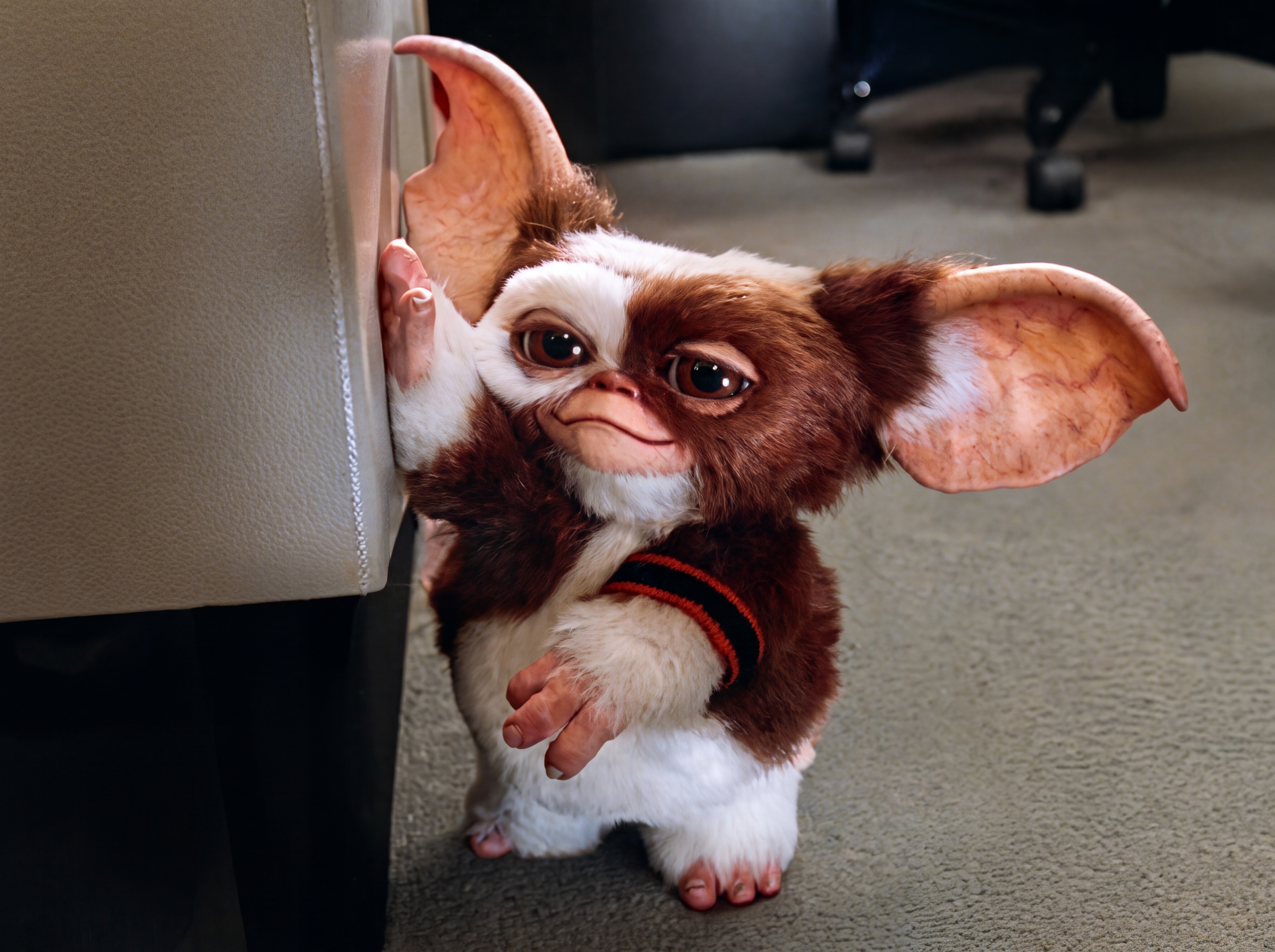 Gizmo, the furry brown-and-white Mogwai with large ears, peeks around the leg of a cream sofa while crouching on a carpeted floor.