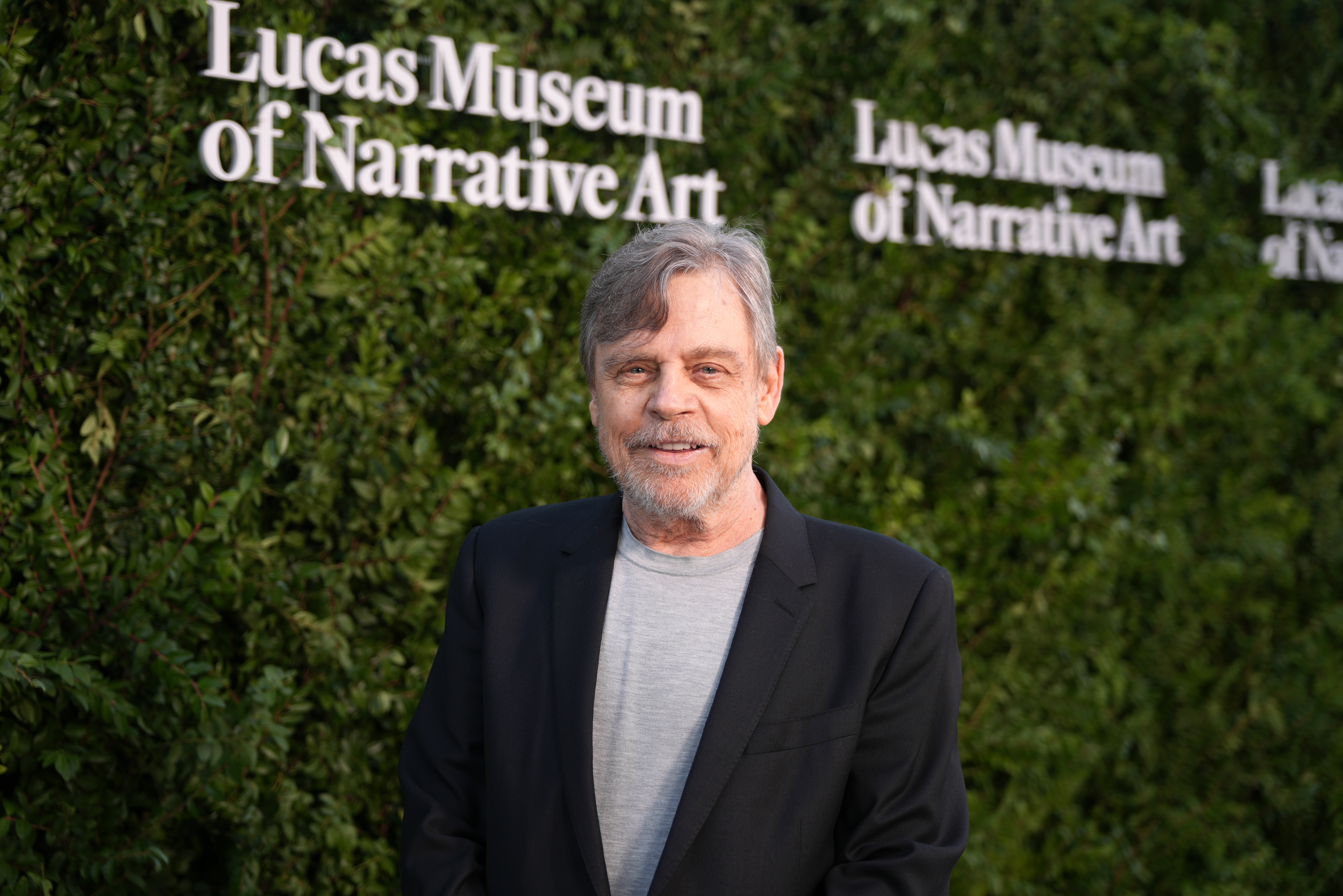 Mark Hamill on the red carpet at the Lucas Museum of Narrative Art opening night in Los Angeles