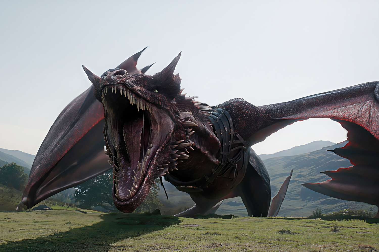 A large dark red CGI dragon with mouth open wide, showing rows of sharp teeth, crouching on a grassy hillside with mountains in the background.