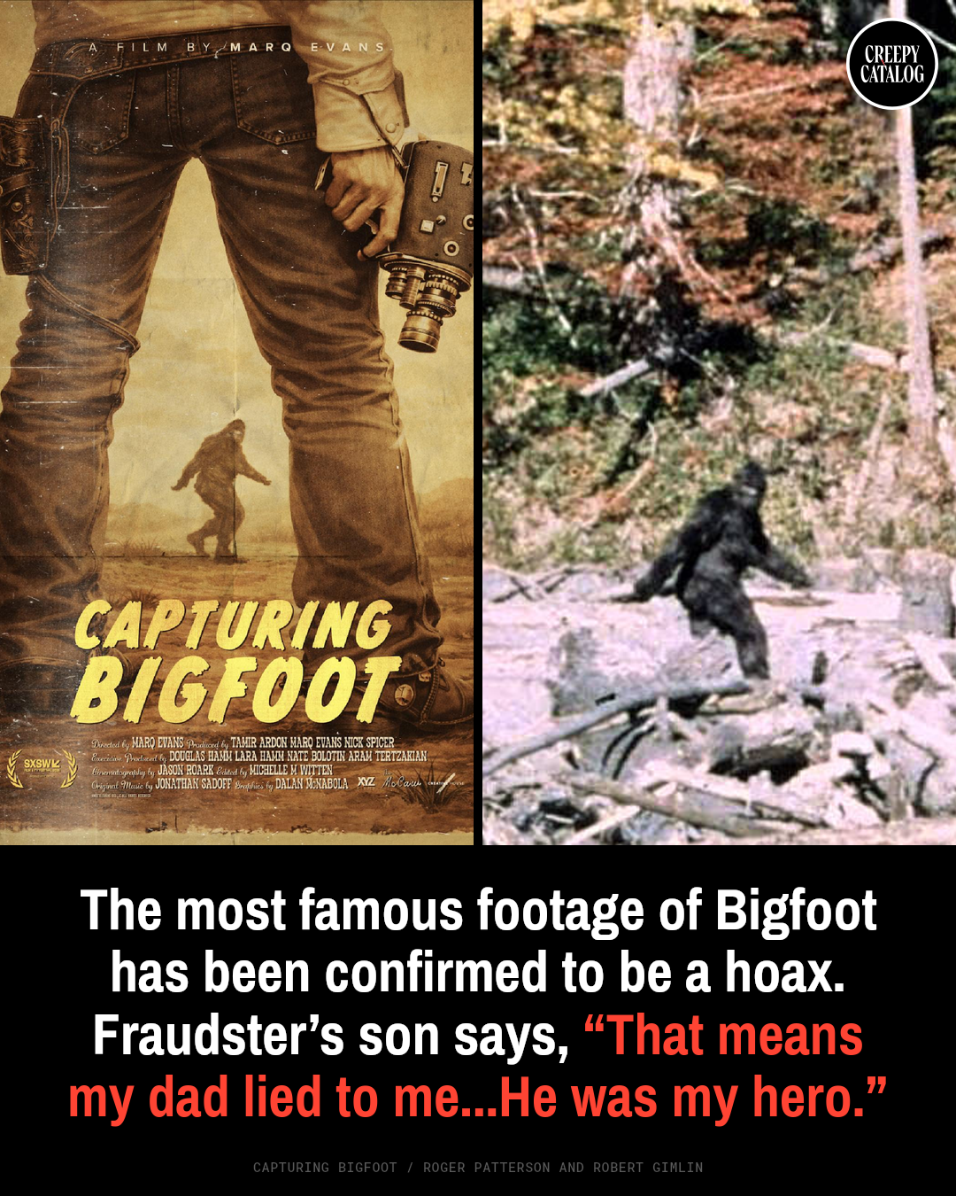 A hairy figure, claimed to be Bigfoot, walking through a forest in the Patterson-Gimlin film footage