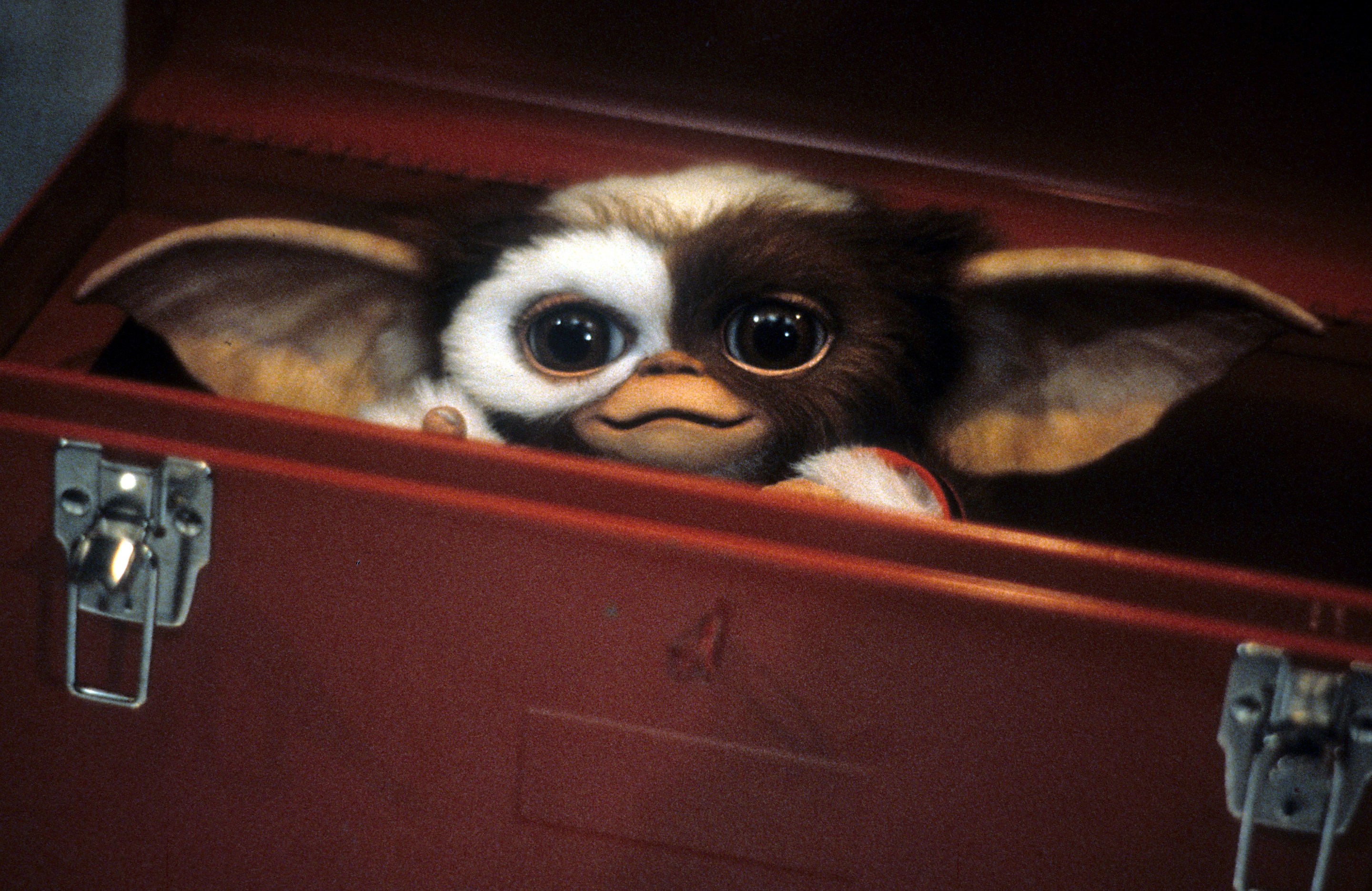 Before Gremlins Used Puppets, Joe Dante Tested a Real Monkey in a Gremlin Head, and It Went Badly