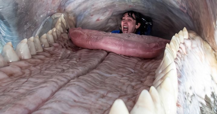 Diver Who Was Stuck Inside a Whale’s Mouth Says He Can ‘Totally Relate’ to New Movie ‘Whalefall.’