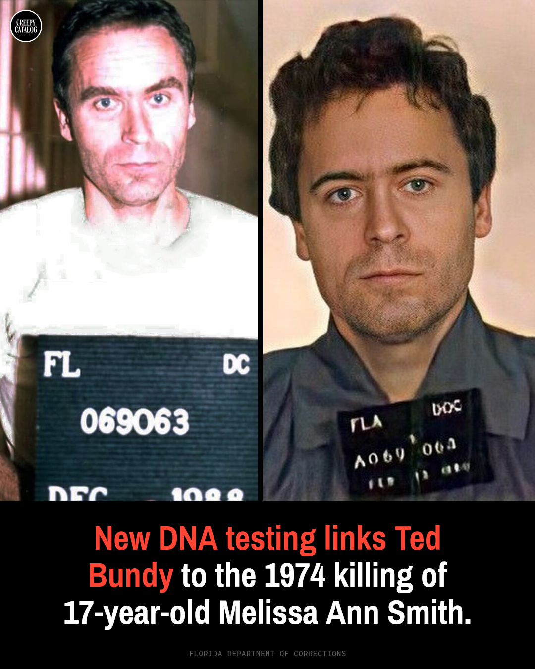 Ted Bundy mugshot or official photo from the Florida Department of Corrections