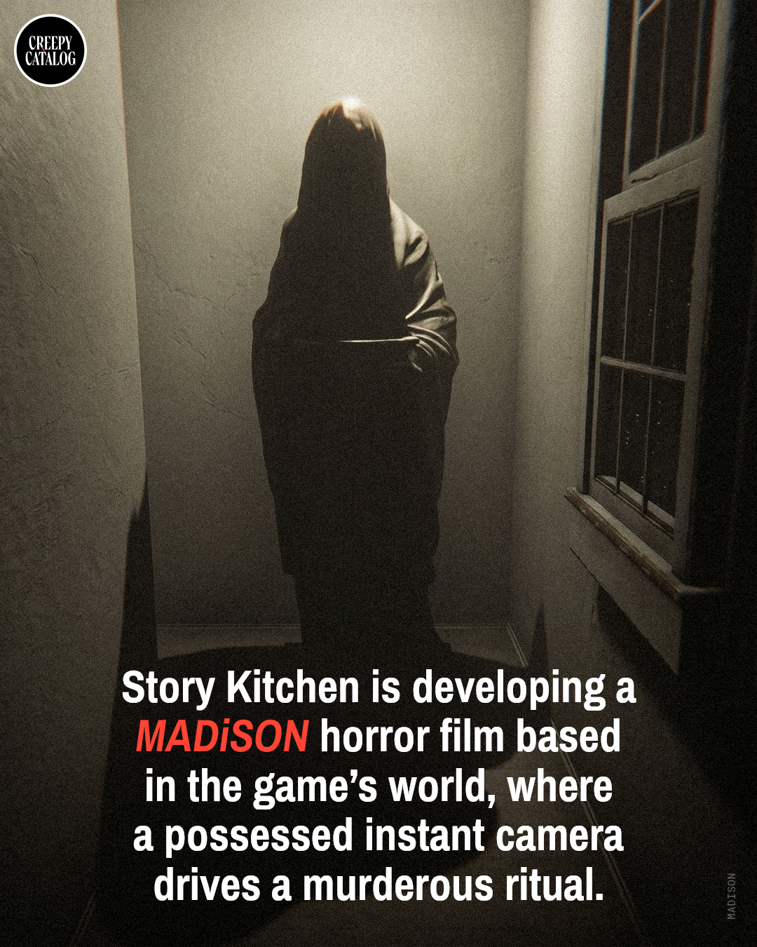Screenshot or promotional image from the MADiSON horror video game