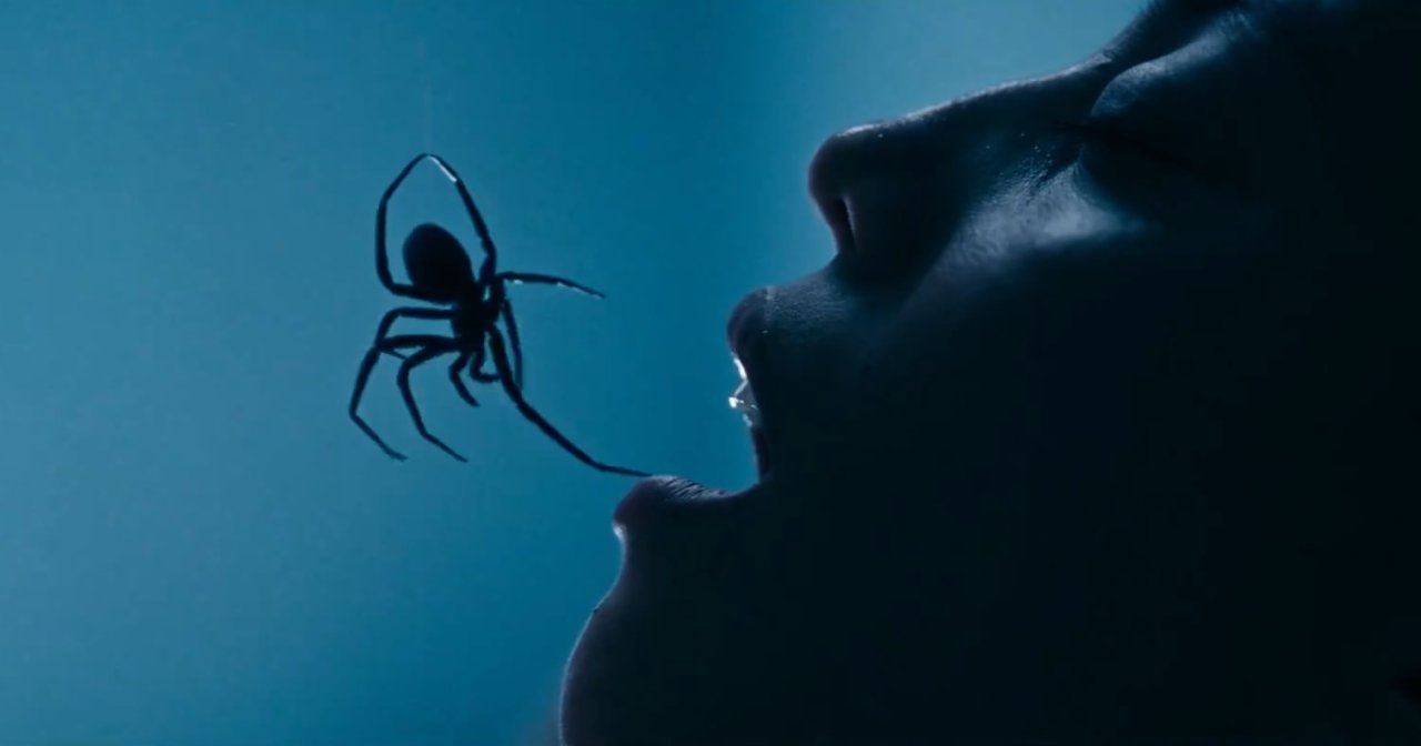 Matilda Lutz Stars as an Apartment Manager Fighting a Deadly Spider Infestation in 'Crawlers', Now in Theaters