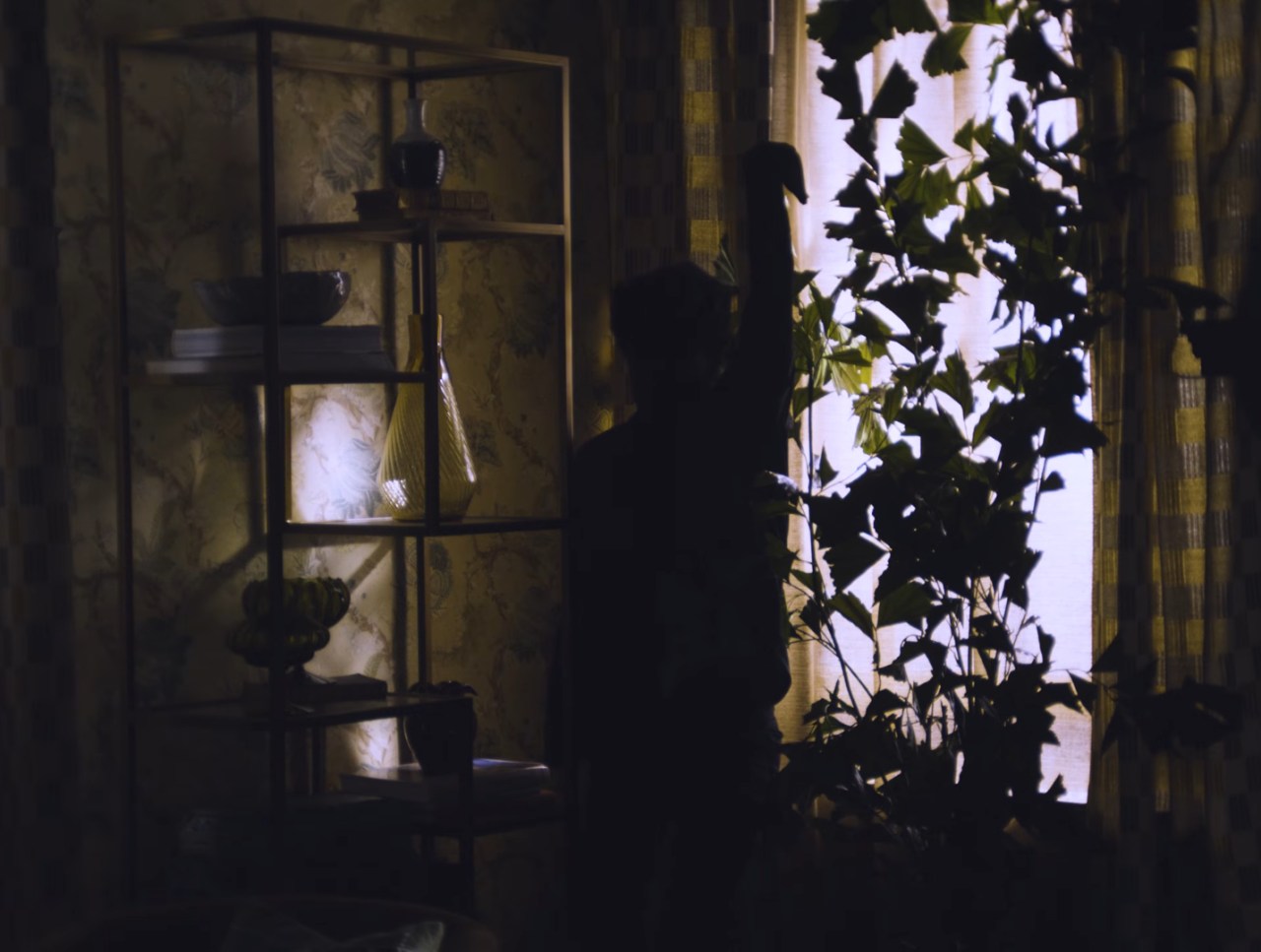 'Obsession' Filmmaker Curry Barker Has a New Horror Short, 'Mama Bear', Streaming Now