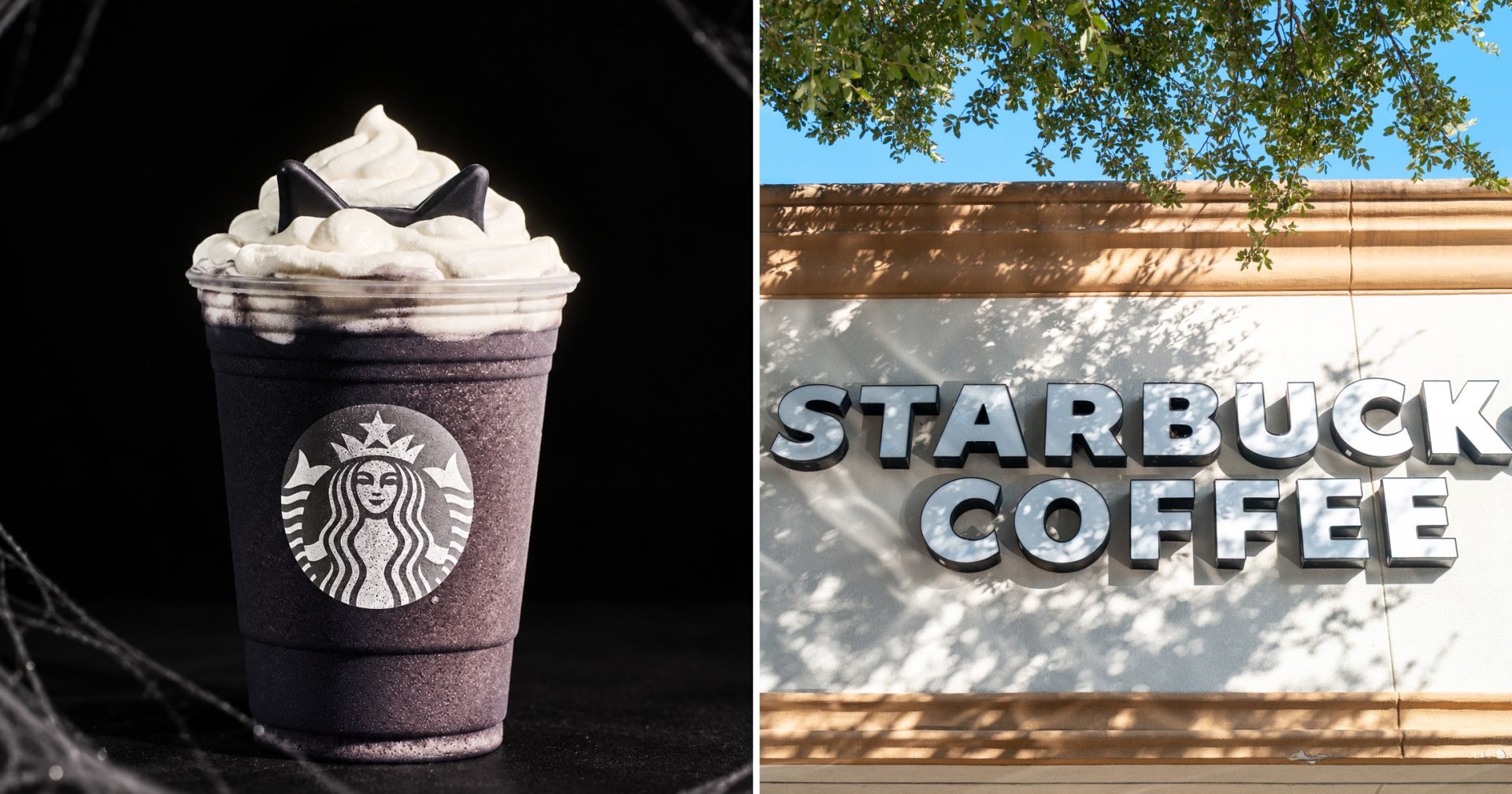 Starbucks Just Dropped a Black Cat Frappuccino with Chocolate Cat Ears for Halloween