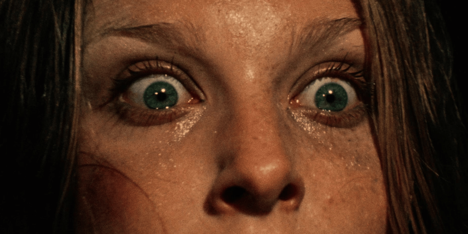 A scene from The Texas Chain Saw Massacre (1974)