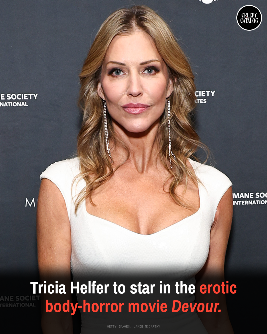 Tricia Helfer at a public event